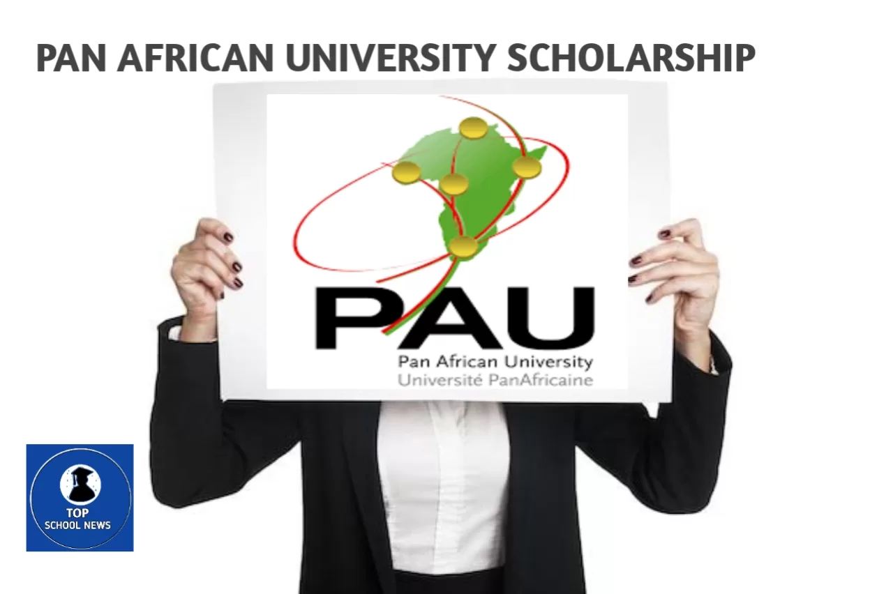 Pan African University Scholarship