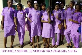 About Gwagwalada School of Nursing